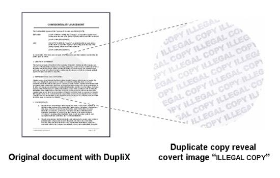 How DupliX works